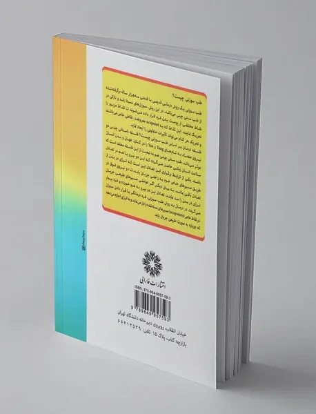 راهنمای عملی طب سوزنی ناحیه سر و بدن