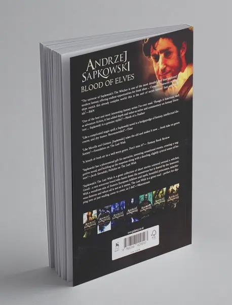 The Witcher 3 - Blood of Elves