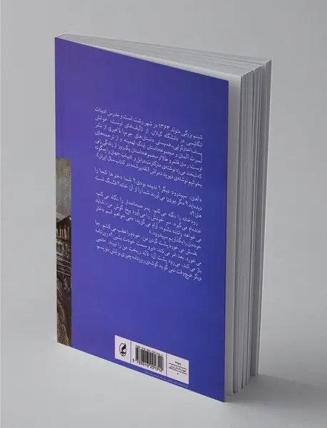 زنی در حاشیه‌ی روزنامه