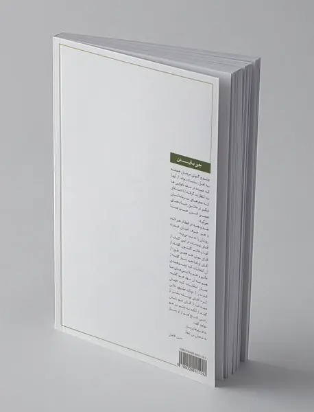 جو بایدن ، زندگی ، آقای رئیس‌جمهور و حالا