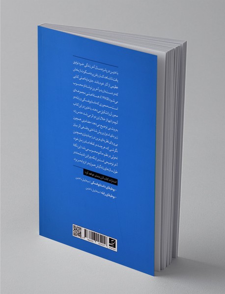 زیبایی‌شناسی و نظریه‌ی رمان