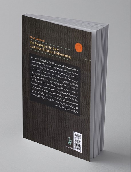 زیبایی شناسی فهم انسان