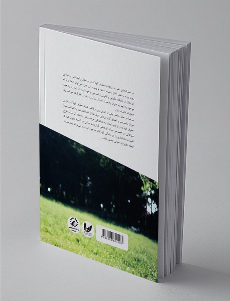 نظارت بر حقوق کودکان از تئوری تا عمل