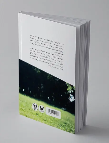 نظارت بر حقوق کودکان از تئوری تا عمل