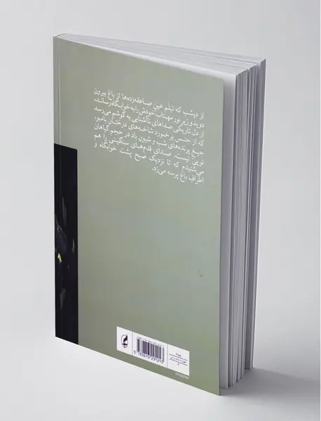 حافظه‌ی پروانه‌ای