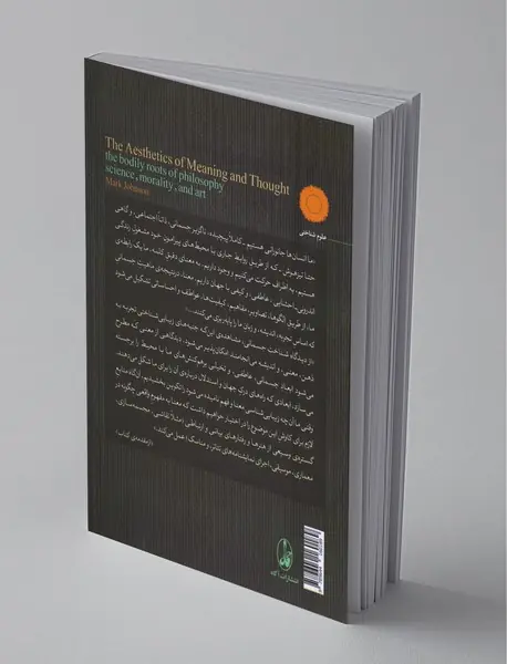 زیبایی شناسی معنا و اندیشه