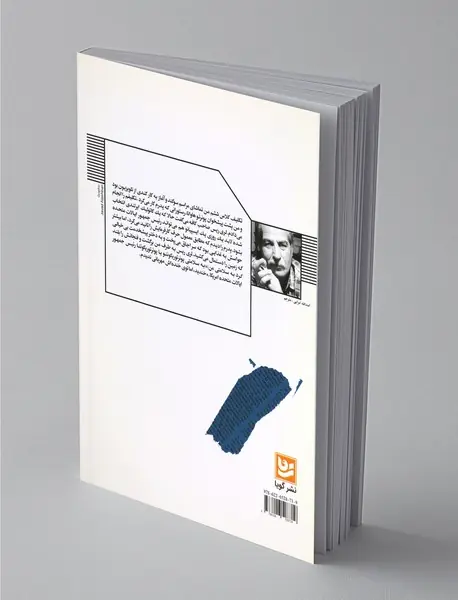 میکروفیکشن