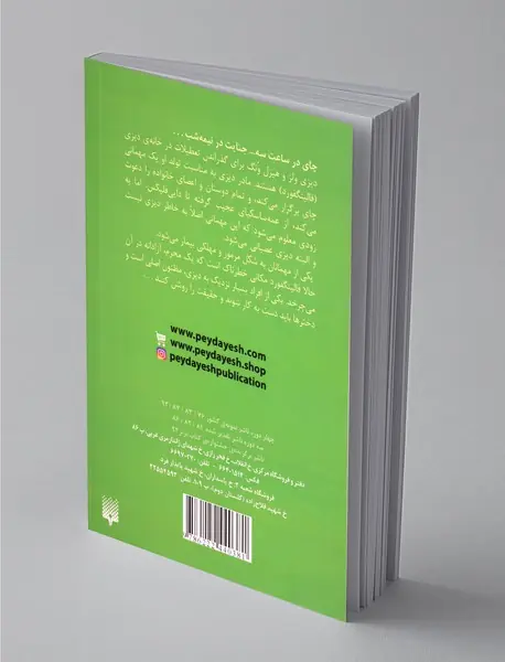 جنایتی دور از شان یک بانو 2