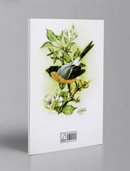 تعلیم نقاشی درنا