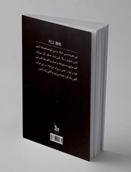 رها کردن گربه