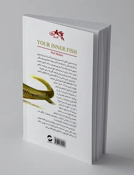 ماهی درونی شما