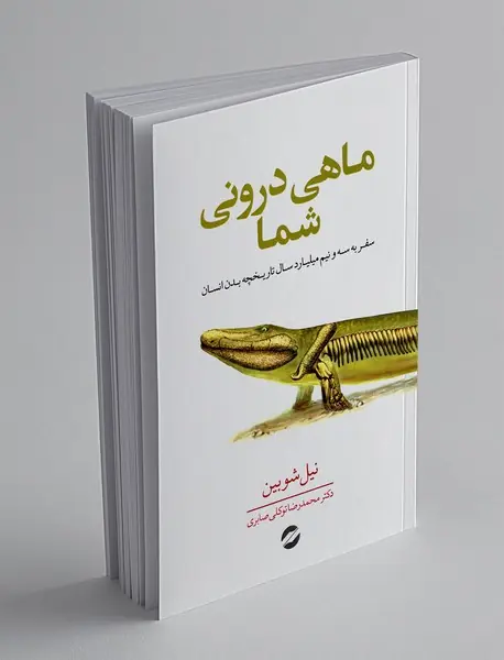 ماهی درونی شما