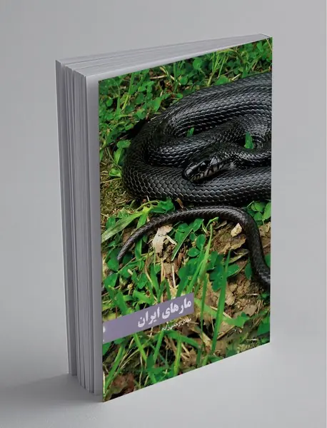 مارهای ایران