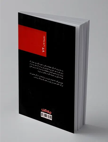 مگره سرگرم می‌شود