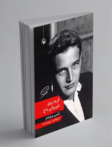 گربه روی شیروانی داغ