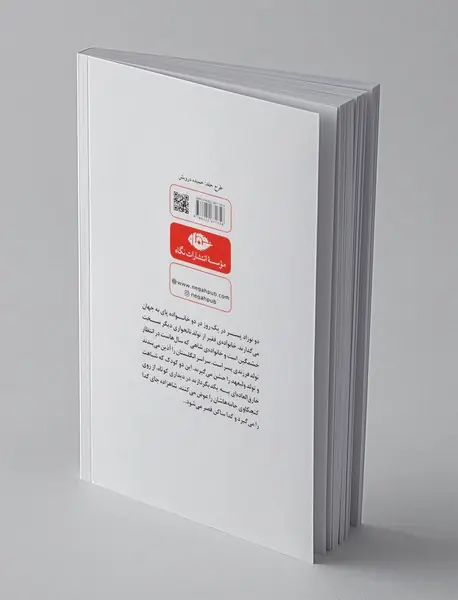 شاهزاده و گدا