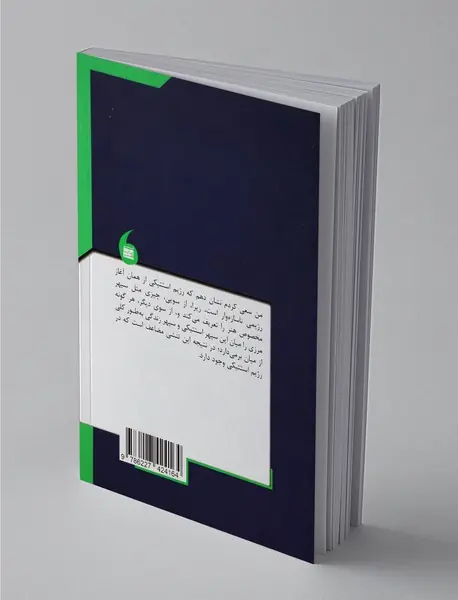 سیاست و استتیک