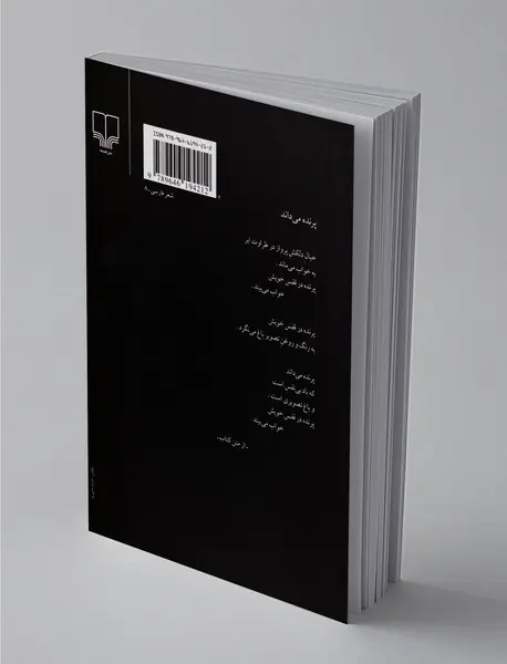 آینه در آینه