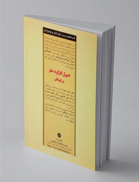 اصول کارکرد مغز در کودکان
