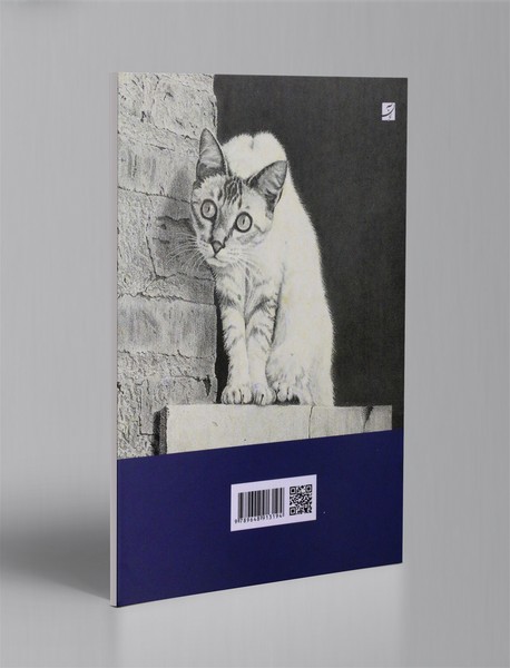 طراحی واقع گرایانه از بافت اشیاء