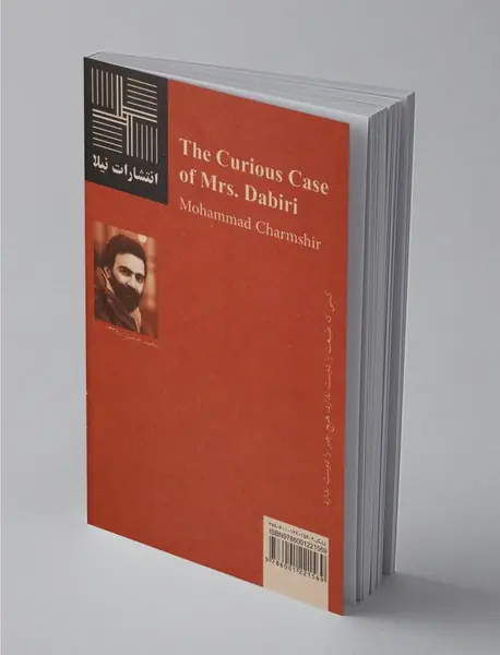 سرگذشت عجیب خانم دبیری