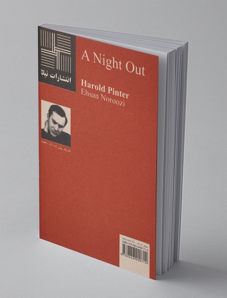 شبی بیرون از خانه