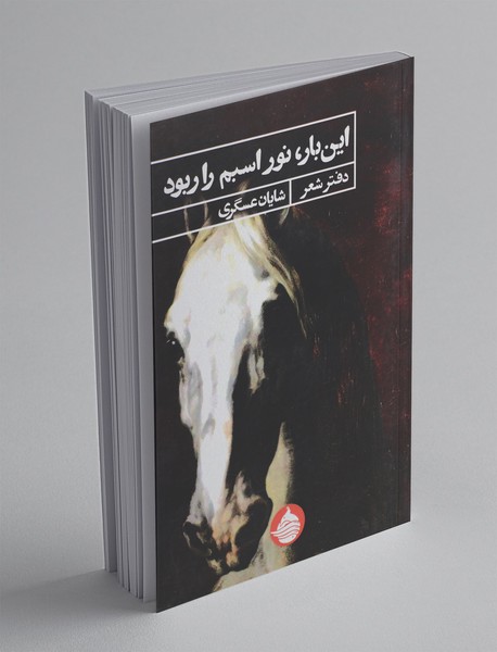 اینبار نور اسبم را ربود اینبار نور اسبم را ربود