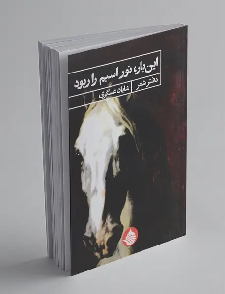 این‌بار نور اسبم را ربود