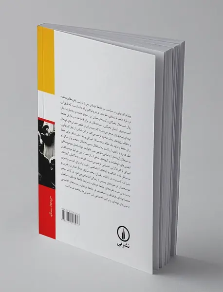 سیاست در جامعه‌ توده‌ ای