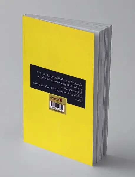 بی‌ثباتی با ثبات