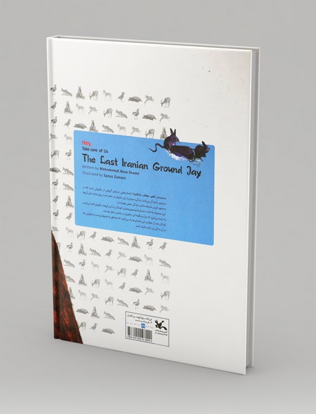 آخرین زاغ بور دشت بزرگ