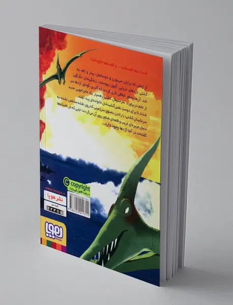 دزدان دریایی تصادفی 2