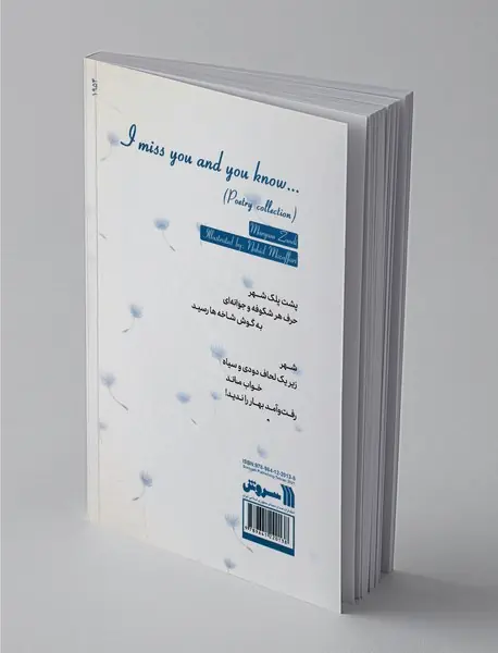 دلتنگم و می‌دانی