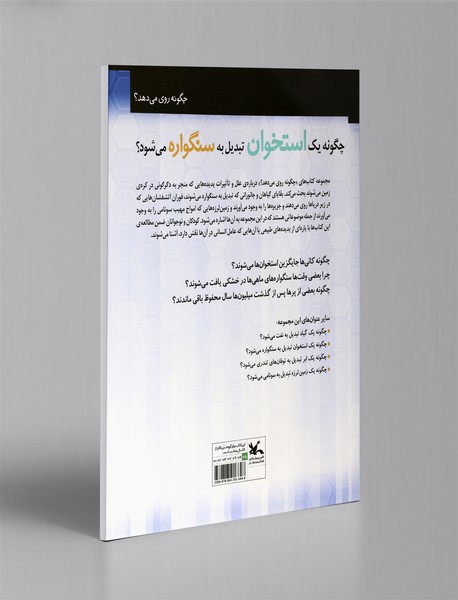 چگونه یک استخوان تبدیل به سنگواره می شود