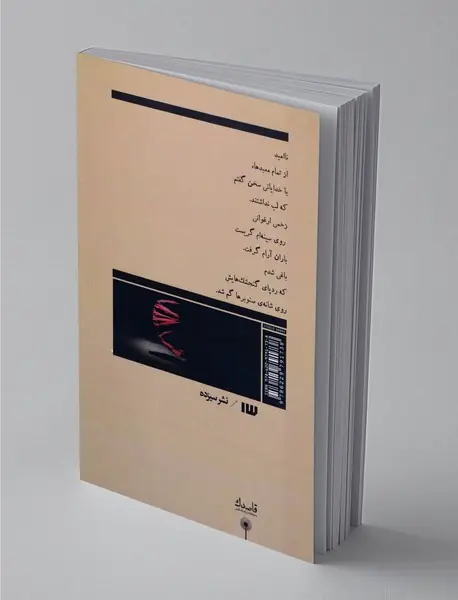 طاق‌های ضربی مغول‌ها