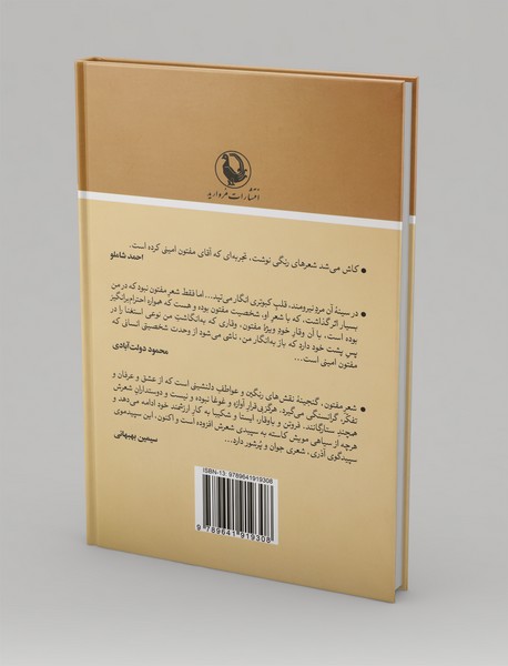 گفت‌و‌گو با مفتون امینی