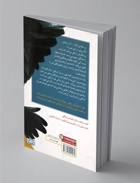 چرخه‌ ی زاغ‌ ها 1