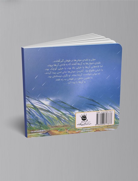 مولی و طوفان