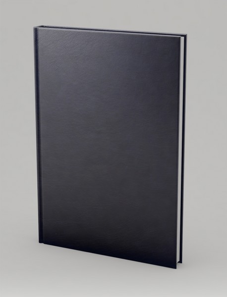 بیچاره اسفندیار