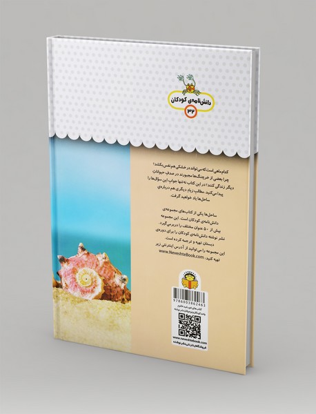 یک فنجان دانستنی درباره‌ی ساحل دریا