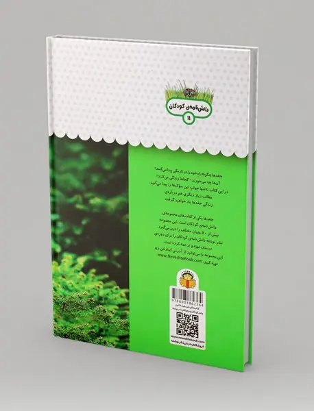 یک فنجان دانستنی درباره‌ی جغدها