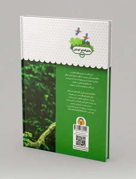 یک فنجان دانستنی درباره‌ی جنگل‌های بارانی