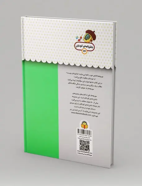 یک فنجان دانستنی درباره‌ی مورچه‌ها