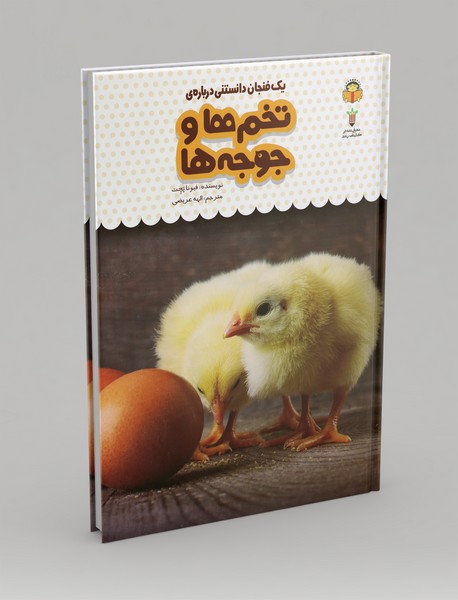 یک فنجان دانستنی درباره ی تخم ها و جوجه ها