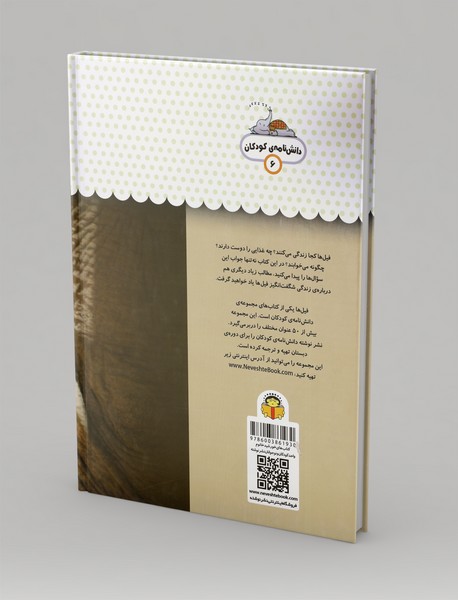 یک فنجان دانستنی درباره‌ی فیل‌ها