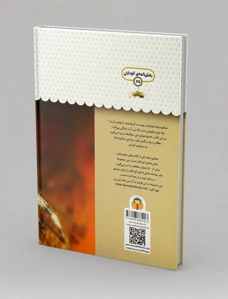 یک فنجان دانستنی درباره ی عنکبوت ها