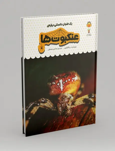 یک فنجان دانستنی درباره ی عنکبوت ها