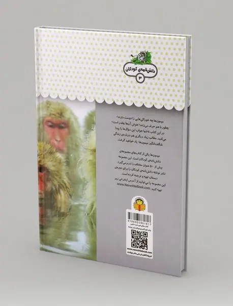 یک فنجان دانستنی درباره‌ی میمون‌ها