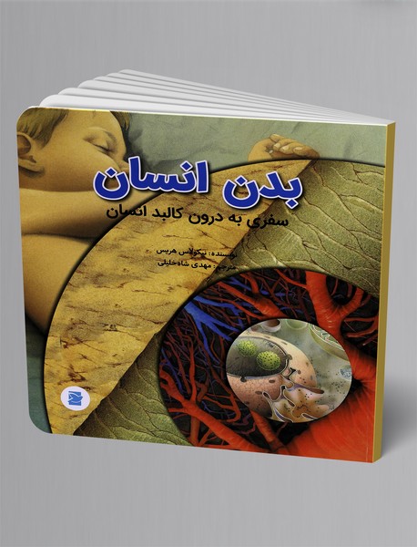 بدن انسان بدن انسان