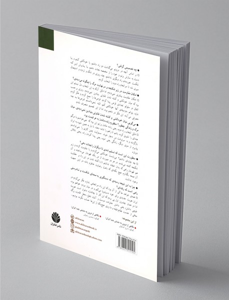 گفتگو با کورش لاشایی